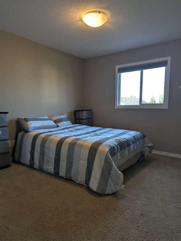 8625 Willow Drive  - Photo 20