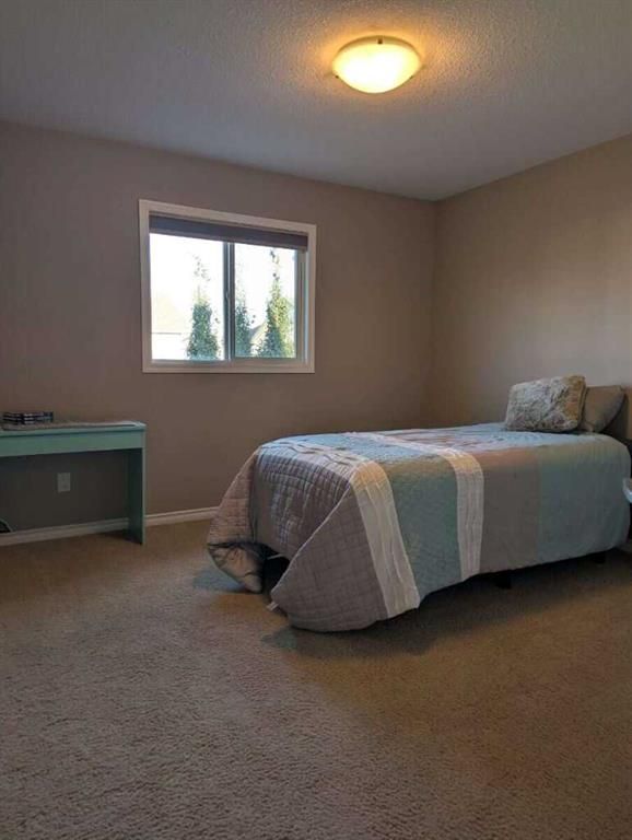 8625 Willow Drive  - Photo 22