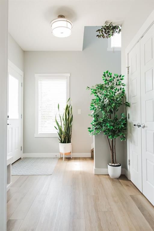 8878 85A Avenue - Photo 4