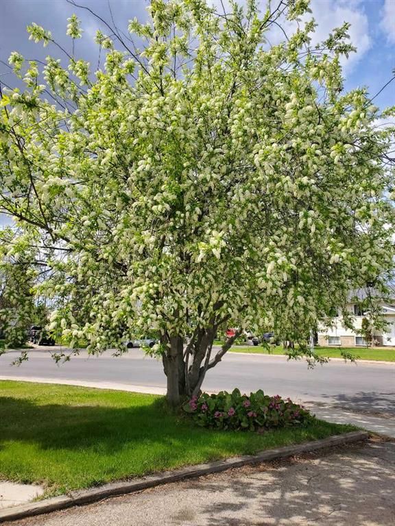 9313 111 Avenue  - Photo 29