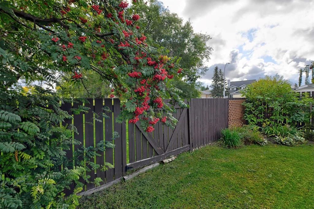 7205 Patterson Drive   - Photo 36