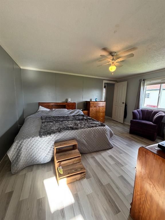 113 Clark Crescent  - Photo 10