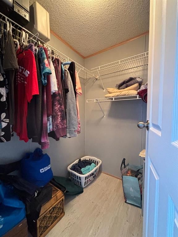 113 Clark Crescent  - Photo 13