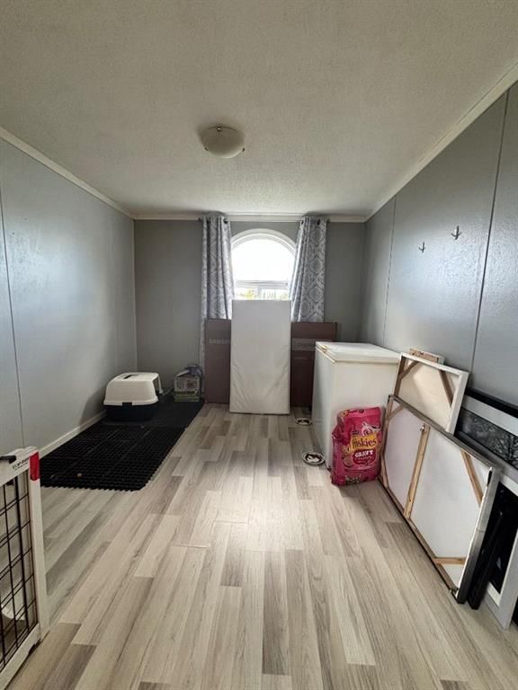 113 Clark Crescent  - Photo 15