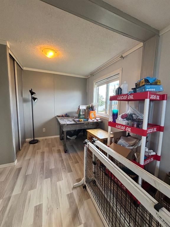113 Clark Crescent  - Photo 16