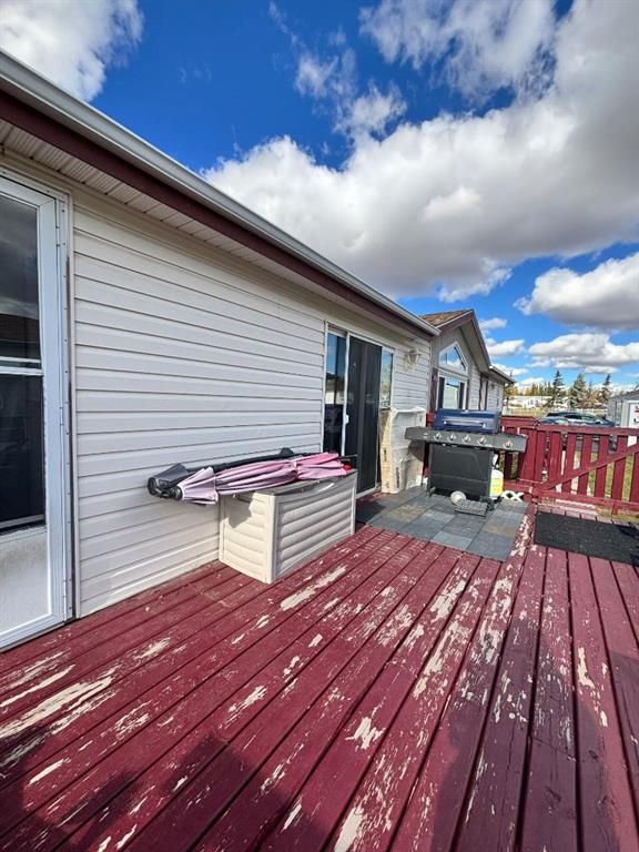113 Clark Crescent  - Photo 19