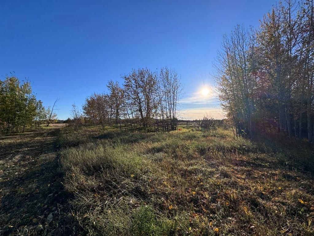 710070 Range Road 65   - Photo 32