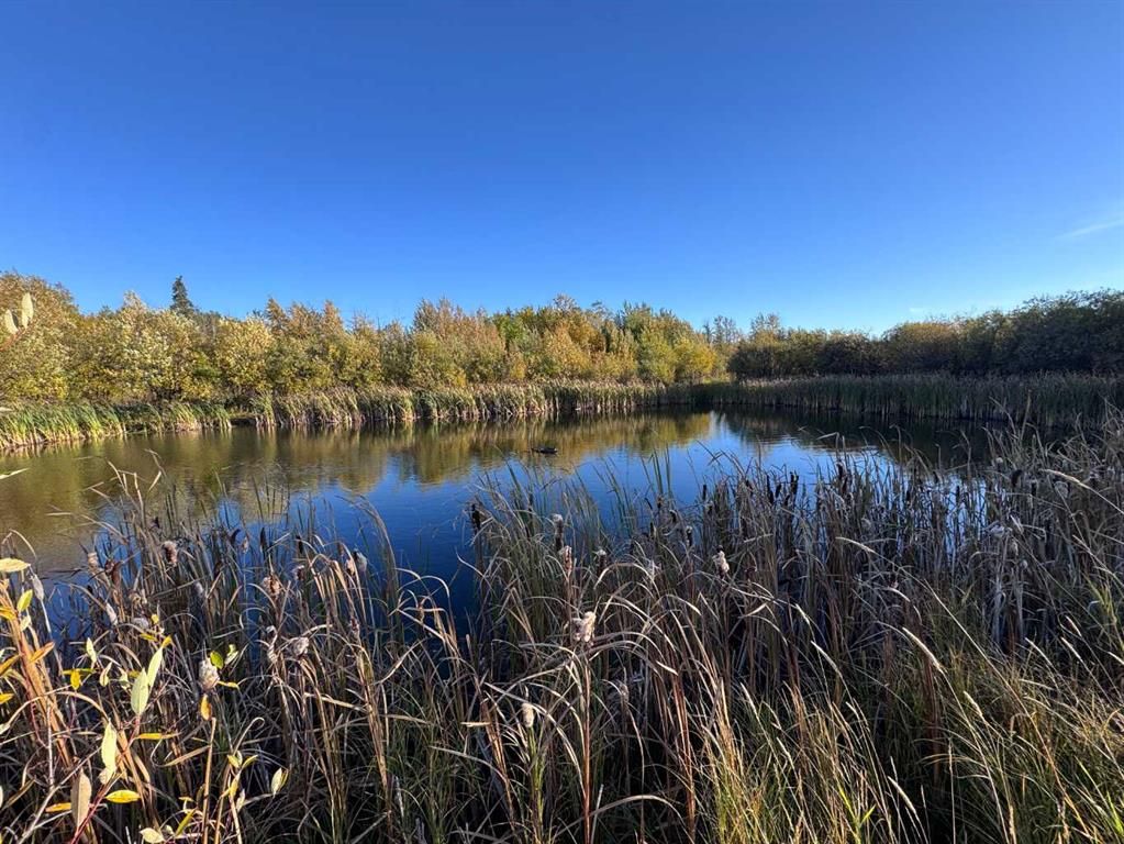 710070 Range Road 65   - Photo 9