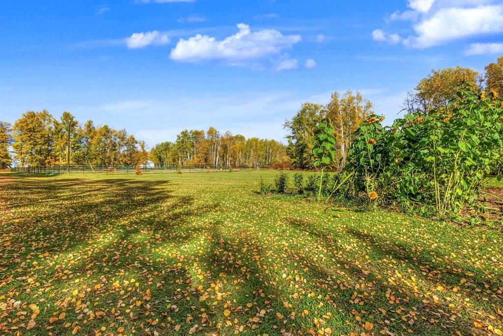 94038B -- 702 Township  - Photo 46