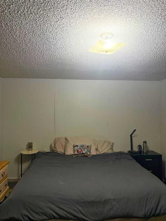 4425 51 Avenue   - Photo 15