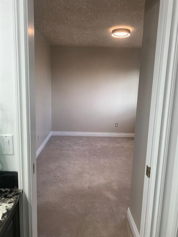 11909 CYGNET Boulevard  - Photo 35