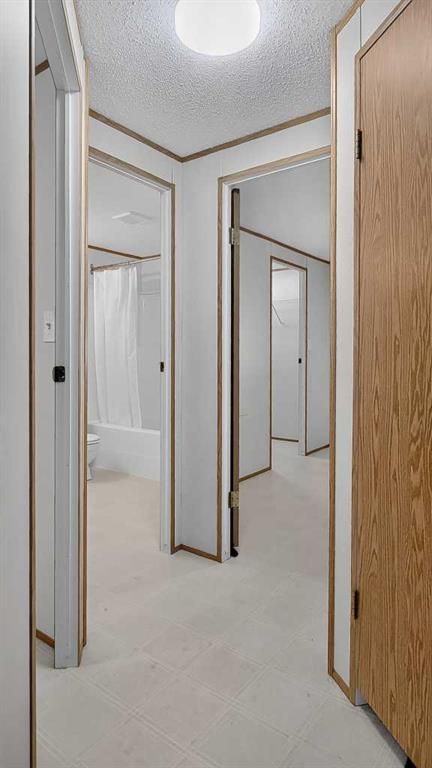 563 Stewart Street  - Photo 4