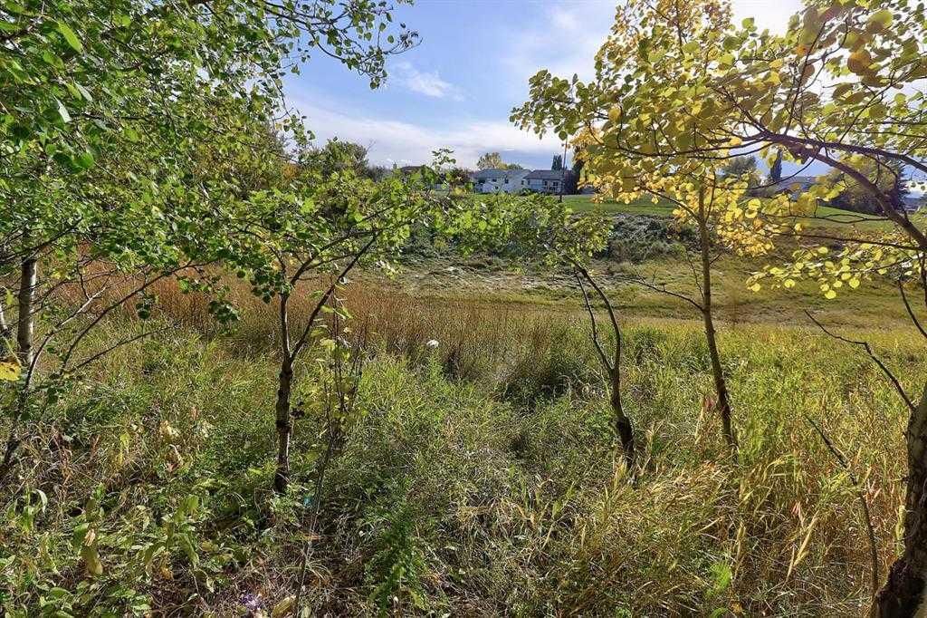 8218 102A Street  - Photo 34