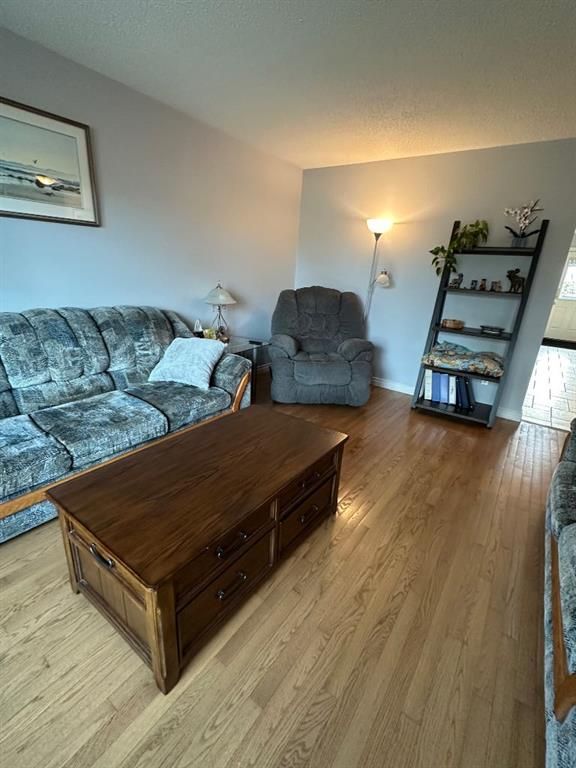 8218 102A Street  - Photo 7